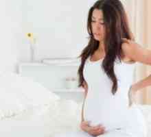 31 De săptămâni de sarcină: o durere de stomac