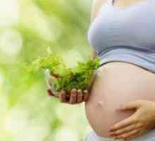 31 De săptămâni de sarcină: nutriție