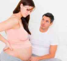 33 Săptămâni gravidă: stomac tras