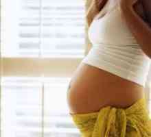 33 Săptămâni gravidă: izolare