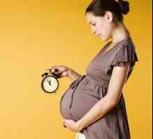 36 Săptămâni gravidă: prevestitori de muncă în multipare