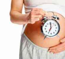 36 De săptămâni de sarcină: lupta