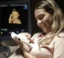 3D cu ultrasunete în timpul sarcinii
