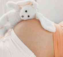 40 De săptămâni de sarcină înainte de naștere
