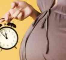 42 De săptămâni de sarcină