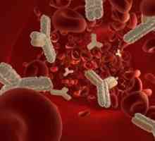 Testul de sânge pentru anticorpi Giardia