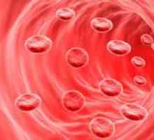 Analiza sângelui în eritrocite