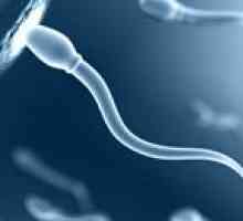 Analiza Sperma spermogramma