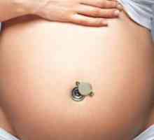 Analizează la planificarea sarcinii