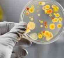 Bacteriile din urina copiilor