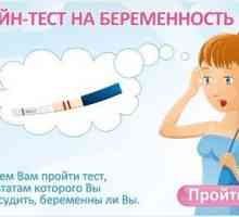 Test de sarcină gratuit on-line