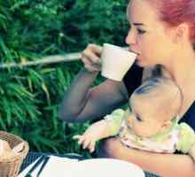 Bere fără alcool pentru mamele care alăptează - beneficiu sau rău