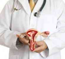 Canalul cervical in timpul sarcinii
