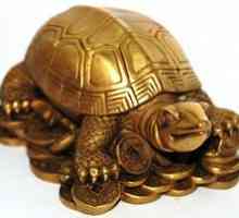 Turtle pe Feng Shui
