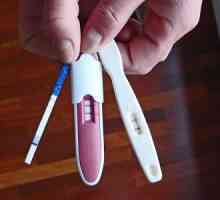Câte test indică sarcina?