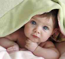 Ce trebuie să știți despre alegerea o pătură bună pentru un copil nou-născut