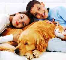 Copii și animale de companie: alergii
