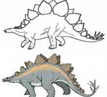 Dinozauri în imagini. De colorat pentru copii