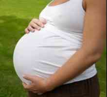 Dacă nu există precursori ai naștere la săptămâna 40 de sarcină