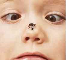 În cazul în care copilul este înțepat de o viespe sau albina