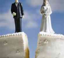 Există o amenințare pentru căsnicia ta? Oamenii de știință au identificat 15 semne de divorț