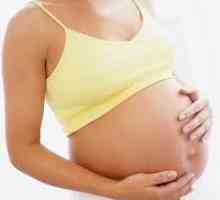 Este posibil să rămâneți gravidă la prima încercare?