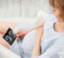 Hepatita in timpul sarcinii - un motiv pentru a da o atenție serioasă pentru sănătatea ta!