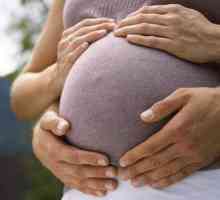 Hipoplazie a placentei in timpul sarcinii