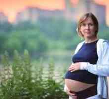 Aerul orașului poate provoca hipertensiune arterială în timpul sarcinii