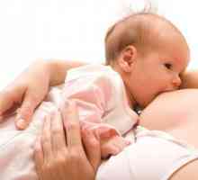 Alăptarea unui nou-născut - principii de bază