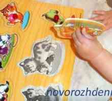 Jucării pentru copii în vârstă de 2 ani - selectați cu înțelepciune