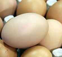 Dieta ou timp de 4 săptămâni (patru săptămâni)