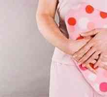 Postpartum endometrita