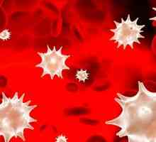 Celulele roșii ale sângelui sângele unui copil