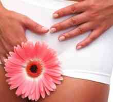 De col uterin eroziune: cauze si tratament