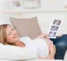Cât de des se poate face ecografie în timpul sarcinii?