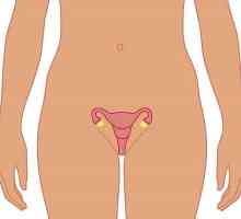 Cât timp este contracții uterine postpartum, și dacă pentru a accelera acest proces?