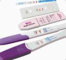 Cum se utilizează un test de sarcină?