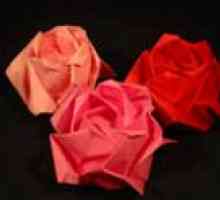 Cum sa faci un trandafir din origami hârtie