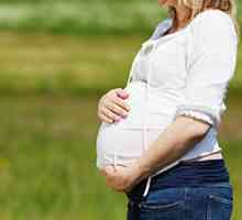 Cum endometrul în timpul sarcinii