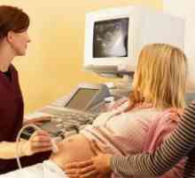 Cum de a ridica placenta in timpul sarcinii?