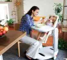 Cum sa alegi scaunul potrivit pentru hrănirea copilului