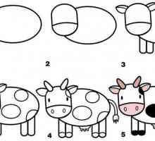 Cum să atragă animale (cele mai multe lectii de desen de bază)