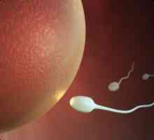 Cum de a induce ovulația?