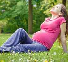Ce teste trec în timpul sarcinii