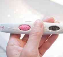 Care sunt șansele de a obține gravidă în timpul ovulației