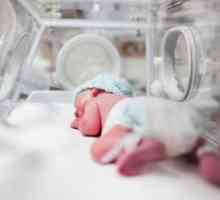 Elkar picături pentru nou-nascuti: ghid pentru părinți