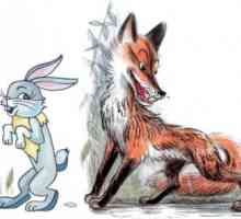 Imagini de la animale diferite pentru colorat
