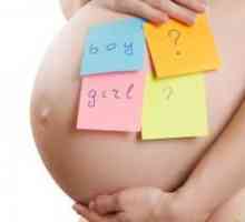 Când un stomac în timpul sarcinii?
