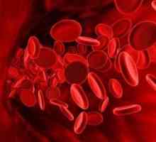 În cazul în care copilul are hemoglobina scazuta: Cauze, simptome, prevenirea
